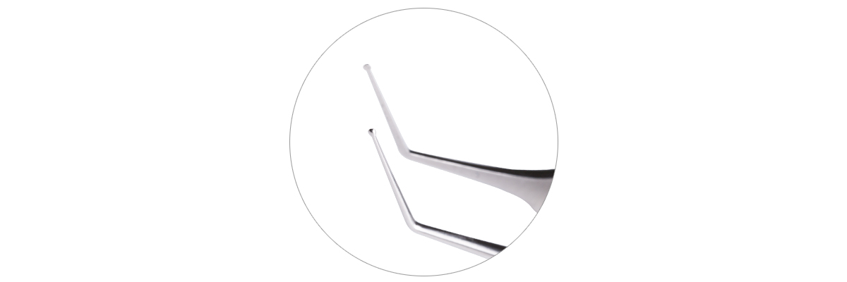 Stainless Steel Blaydes Lens Holding Forceps