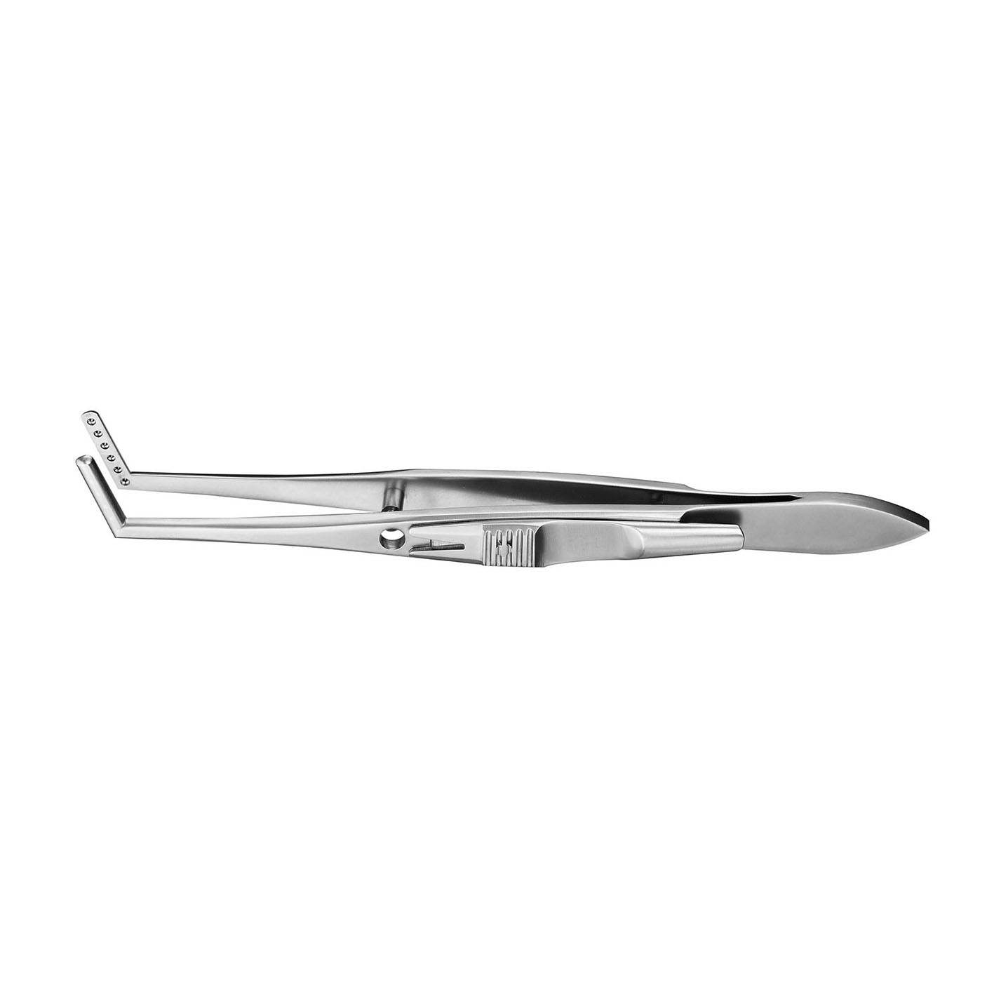 IF-4200R Stainless Steel Muscle Forceps