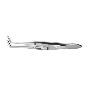 IF-4200R Stainless Steel Muscle Forceps